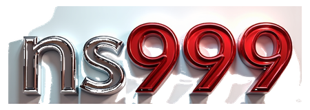 ns999 logo